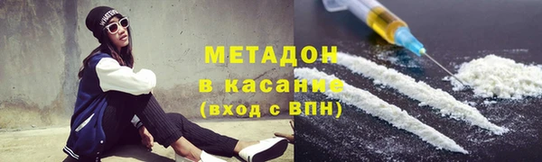 прущие грибы Арсеньев