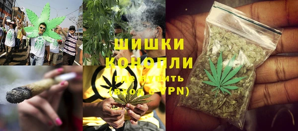 прущие грибы Арсеньев