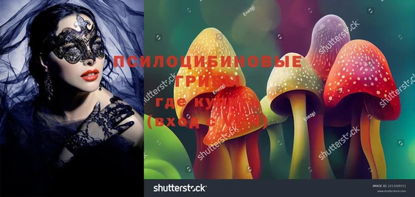 прущие грибы Арсеньев