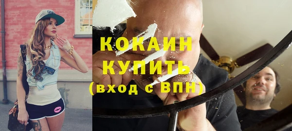 прущие грибы Арсеньев