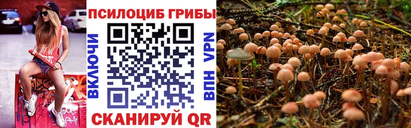 Галлюциногенные грибы MAGIC MUSHROOMS  Стрежевой 